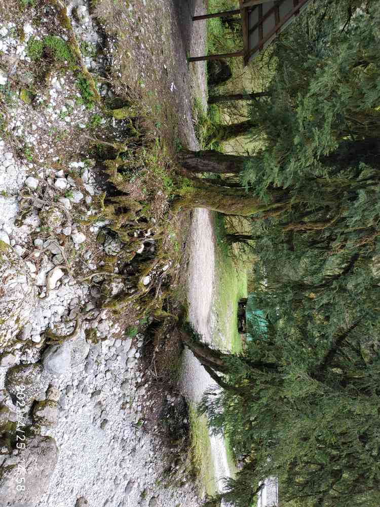 20210425_145859.jpg