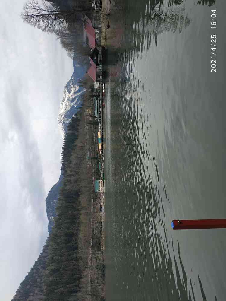 20210425_160428.jpg